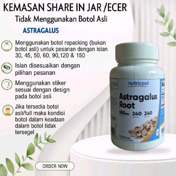 Astragallus Root _ Kesehatan Ginjal dan Imunitas
