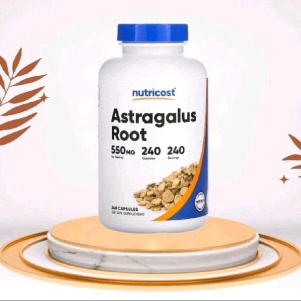 Astragallus Root _ Kesehatan Ginjal dan Imunitas