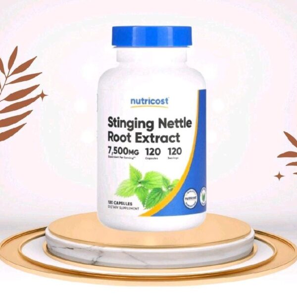 Stinging nettle root extract_suplemen kesehatan